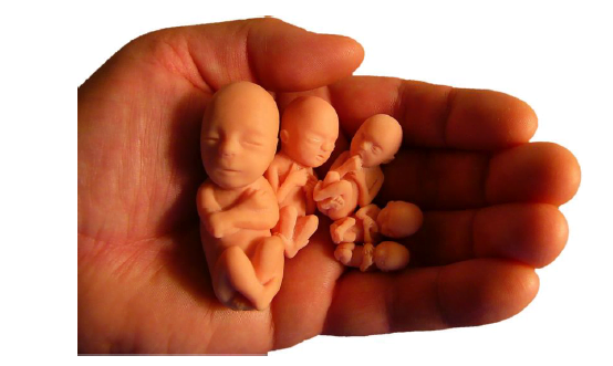 Baby Newsletter Jan 2022