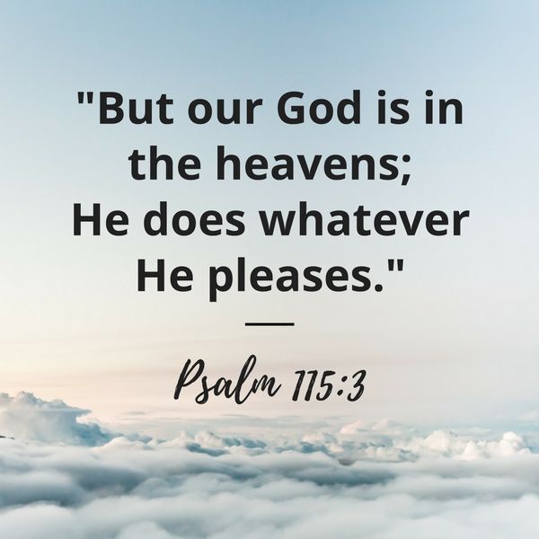 psalm 115.3 Our God is in the heavens